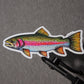 RAINBOW TROUT DECAL