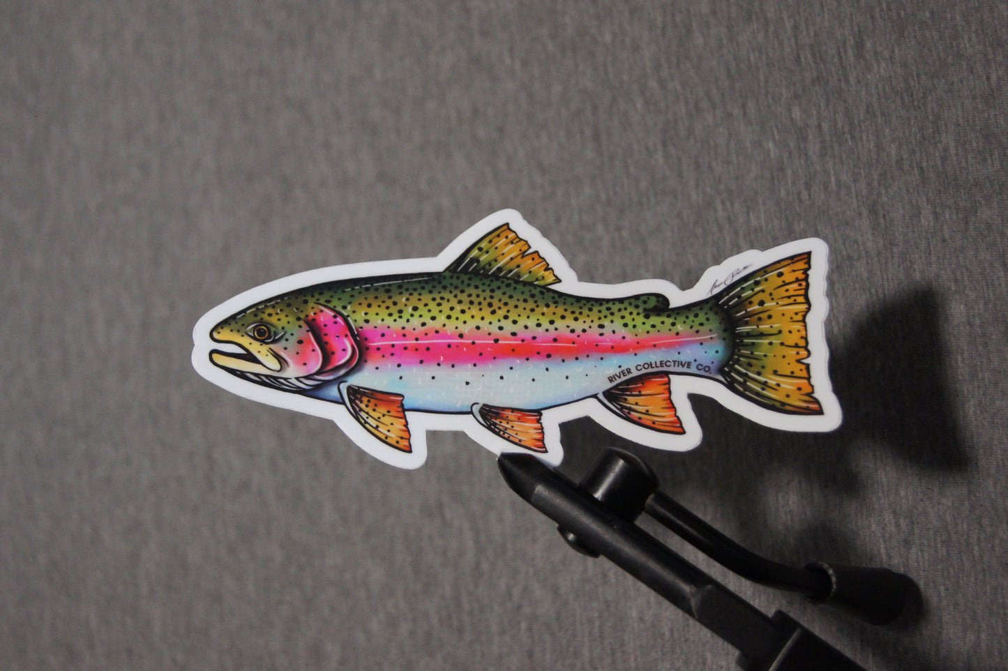 Rainbow Trout Fly Fishing 4x4 Chevy Silverado Truck Decals