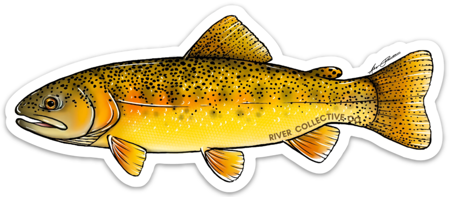 GILA TROUT DECAL