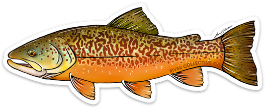 TIGER TROUT DECAL